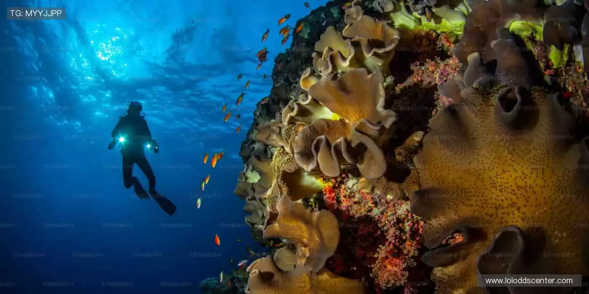 🎉狂欢盛宴,尽在眼前!⚡️万人呐喊,点燃赛场激情!